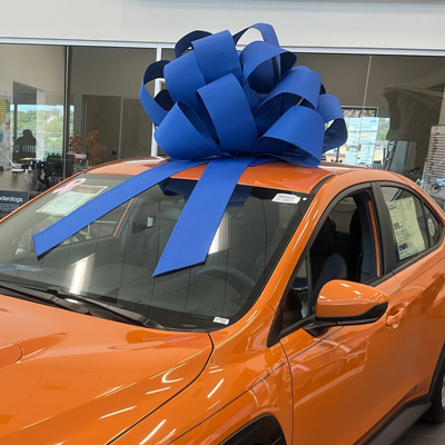 Orange mustang with LARGE blue bow - a special gift!